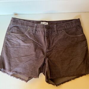 Carve Designs Shorts, Size 10